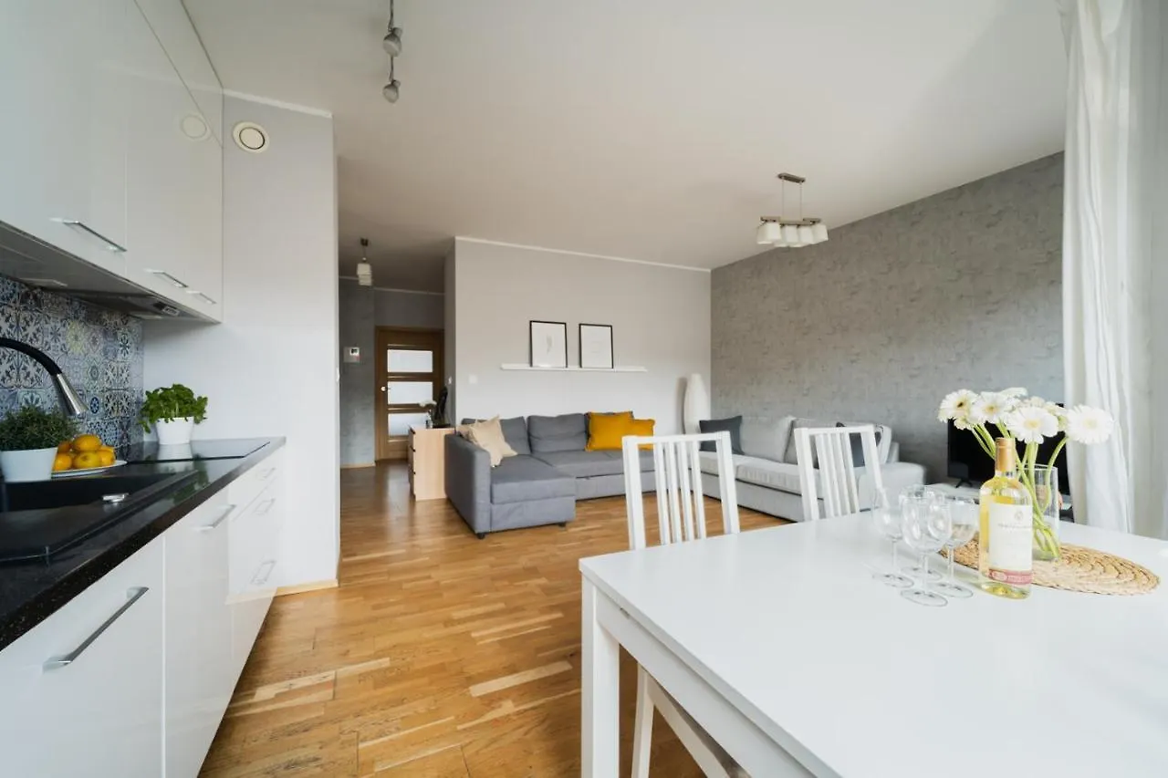 Big Apartment Old Town - 3 Rooms- 7 People-Lift- Near Town Hall Wroclaw